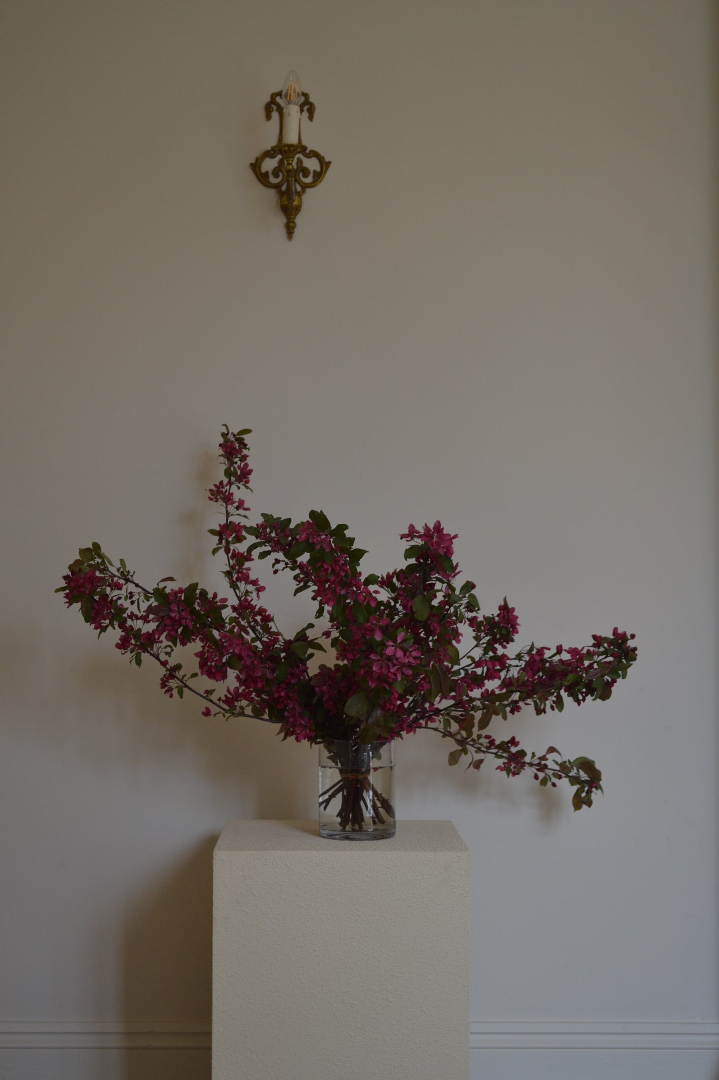 Surprise Me, Seasonal Arrangement