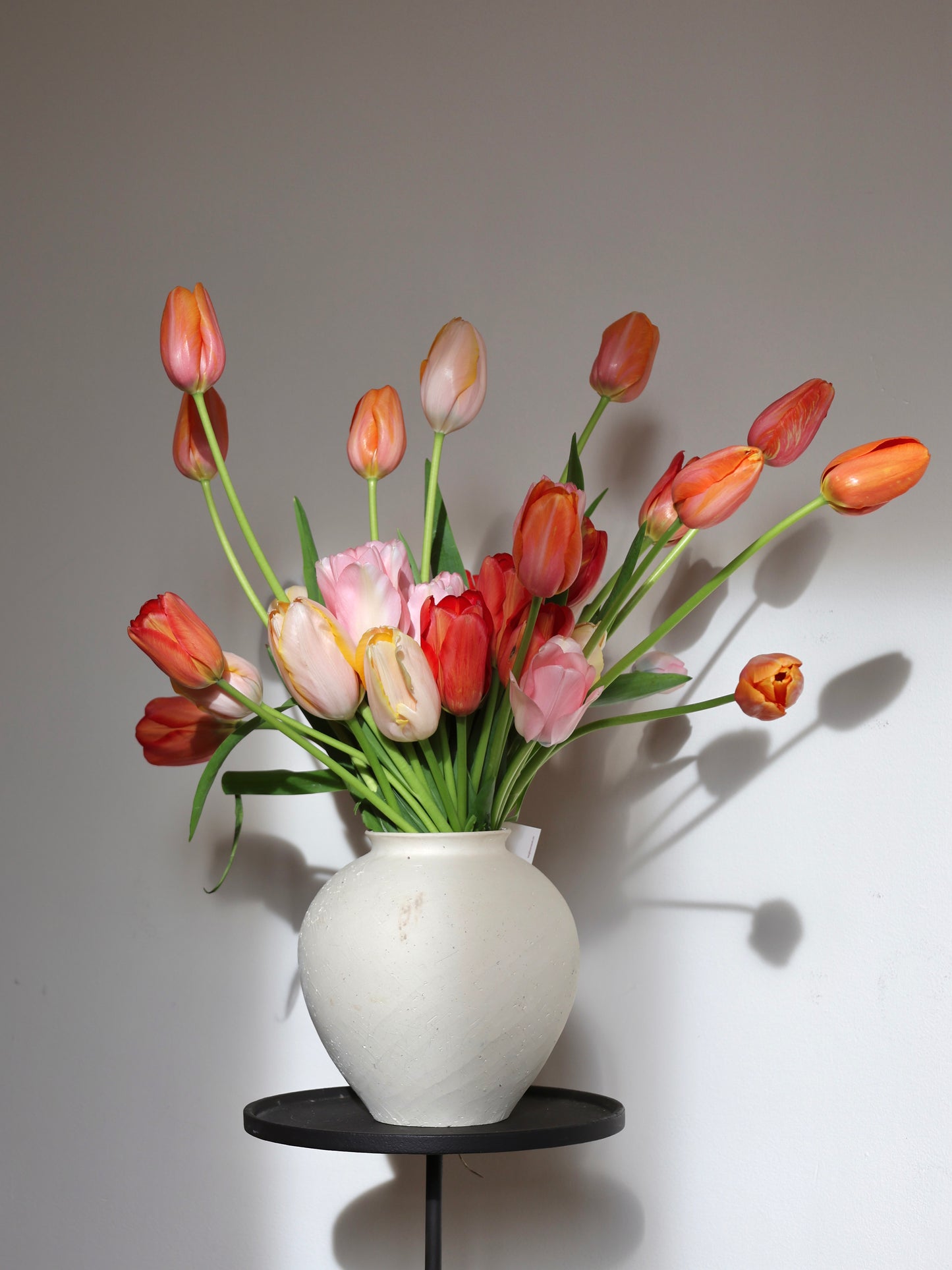 Surprise Me, Seasonal Arrangement