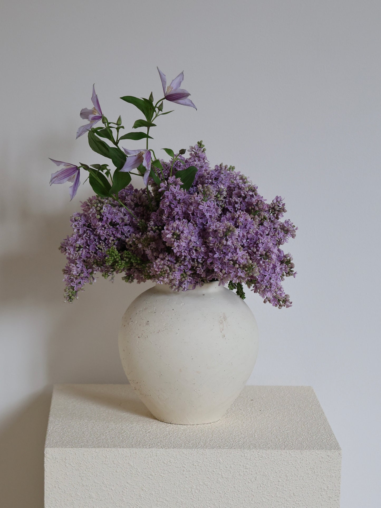 Surprise Me, Seasonal Arrangement