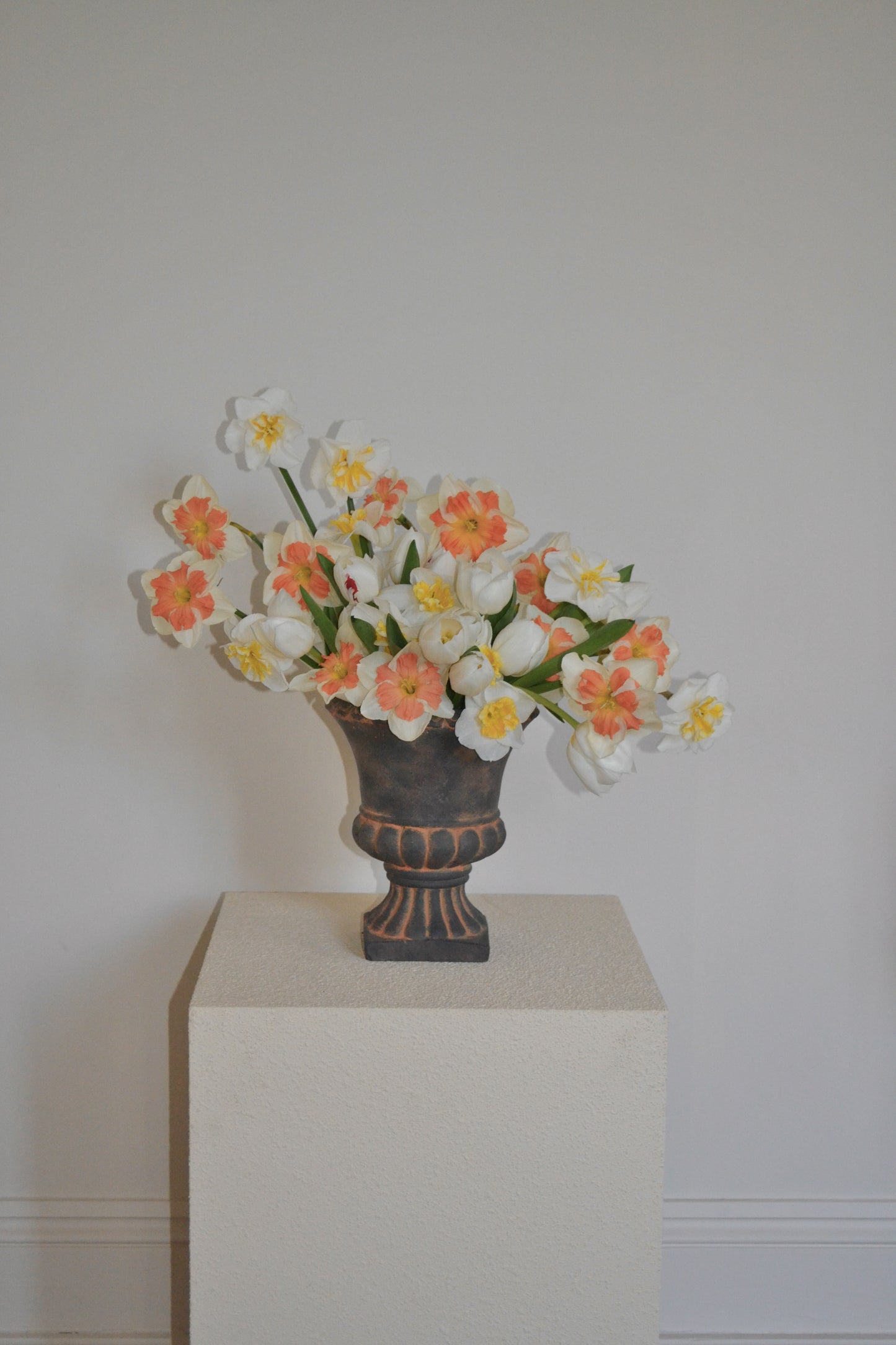 Surprise Me, Seasonal Arrangement